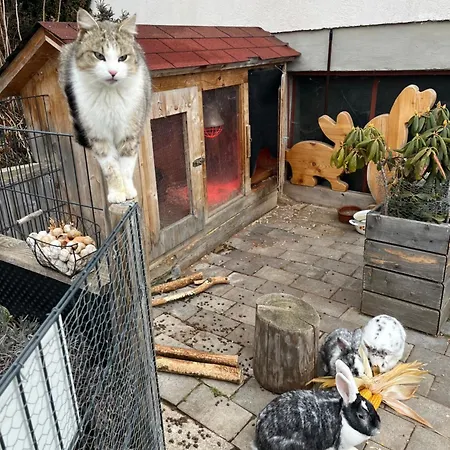 Apartment Berger Im Ersten Stock Murau