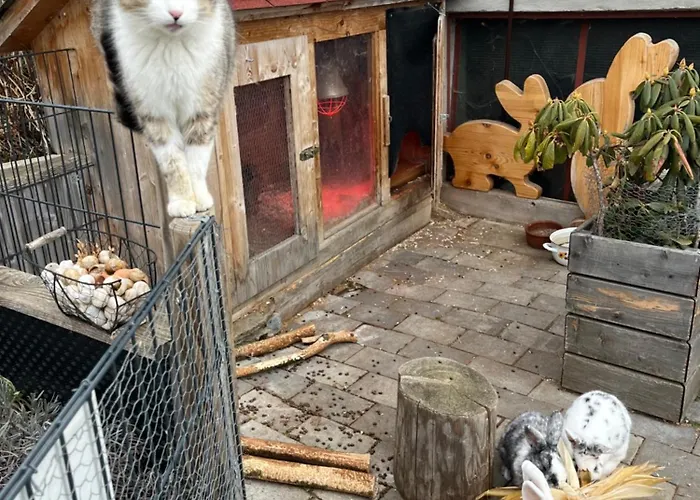 Apartment Berger Im Ersten Stock Murau