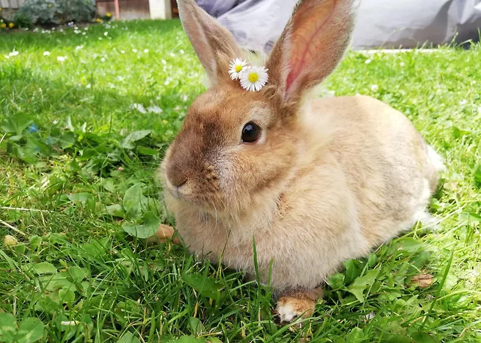 Berger Im Ersten Stock Apartment *